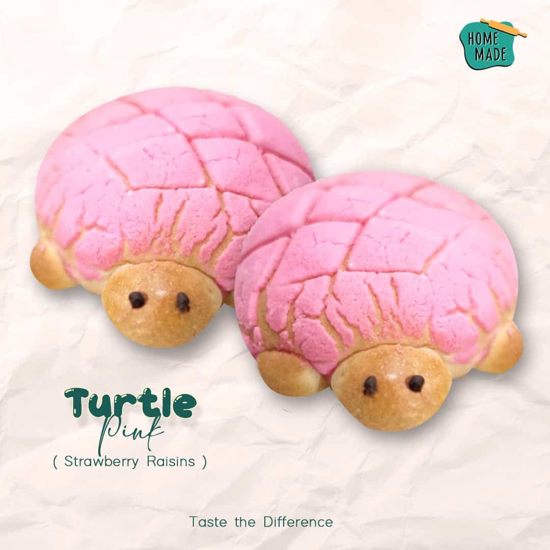 Turtle - Pink